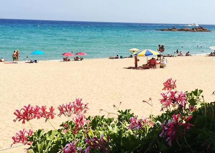 アパート Design Modernist